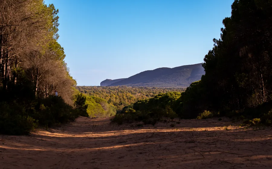 Sardinia · İtalya
